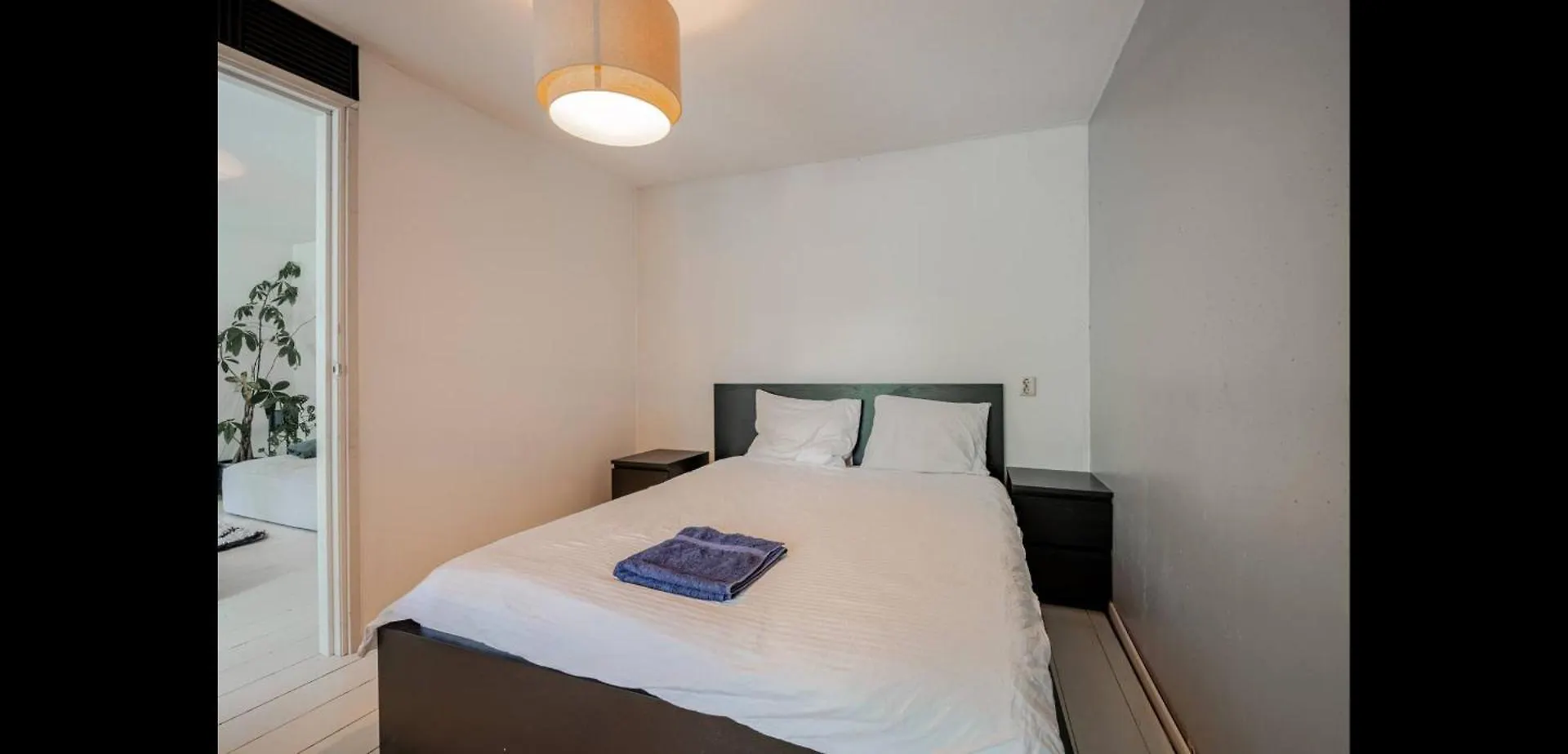 Private 3 Bedroom Apartment - Homestay Properties Amsterdam